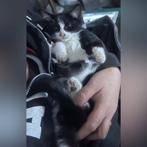 Tiny is Thriving 💗